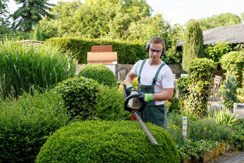 Bush Trimming Services and Tips