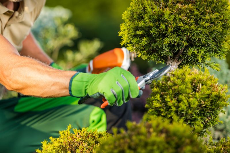 Professional Bush Trimming Services