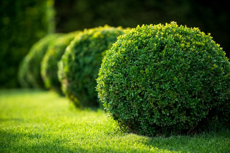 Bush Trimming