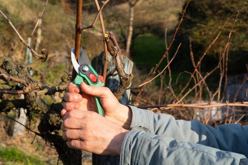 Pruning Tools in Use