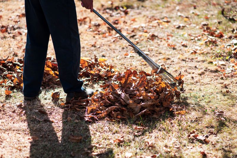 Leaf Raking