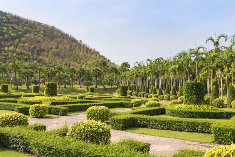 Residential Garden with Trimmed Shrubs