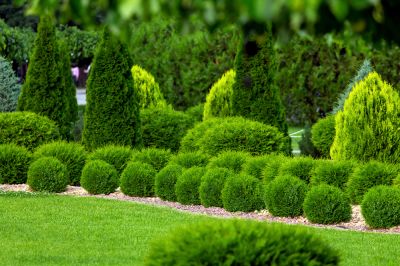 Improve Curb Appeal!